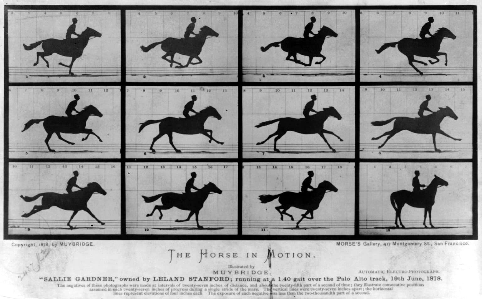 El caballo en movimiento de Muybridge